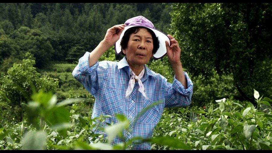 본문 이미지 - '할머니는 일학년' 故김진구 스틸컷