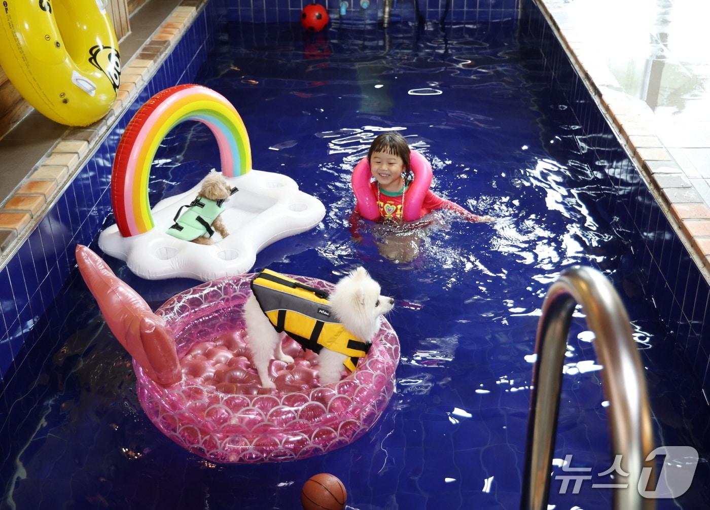 본문 이미지 - 태안 소재의 한 반려동물 동반 펜션에서 시간을 보내고 있는 모습(태안군 제공. 재판매 및 DB금지)2026.4.6/뉴스1