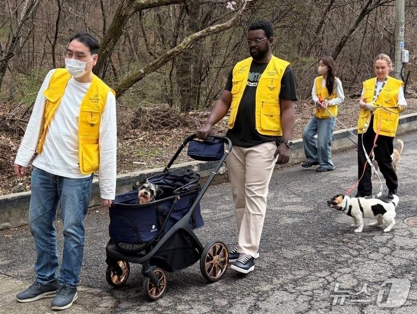 본문 이미지 - 글로벌 프렌즈 봉사단은 4일 경기 성남에 위치한 동물보호소에서 안드레의바다와 함께 봉사활동을 진행했다(네츄럴코어 제공). ⓒ 뉴스1