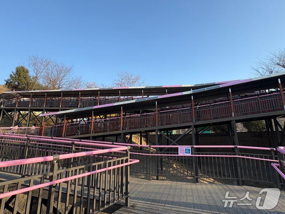 본문 이미지 - 무장애 데크로드(경기 부천시 제공/뉴스1)