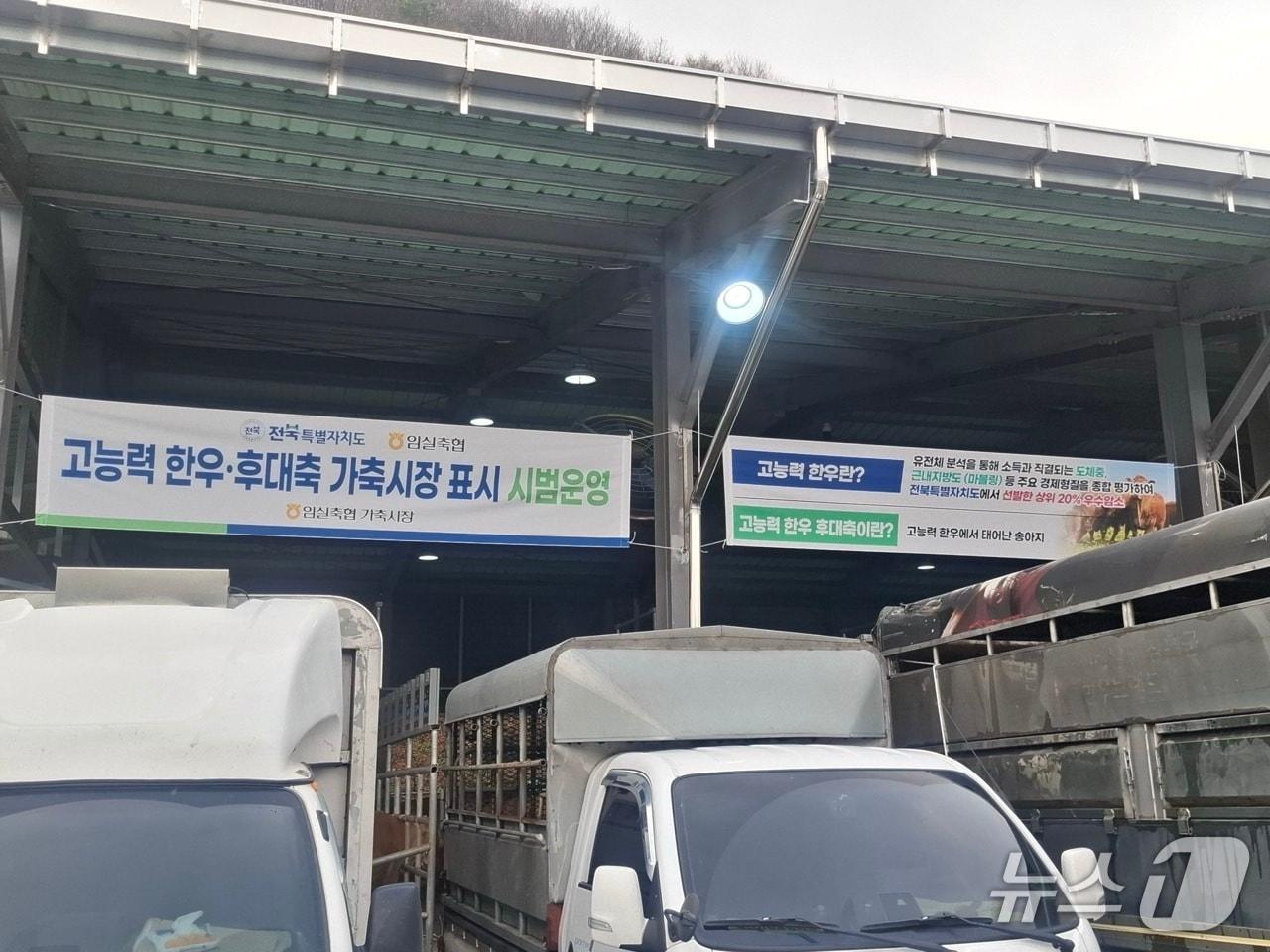 본문 이미지 - 전북도가 임실축협 가축시장에서 '고능력 한우 가축시장 거래 표시제 시범 사업'을 추진한다.(전북도 제공. 재판매 및 DB금지)/뉴스1