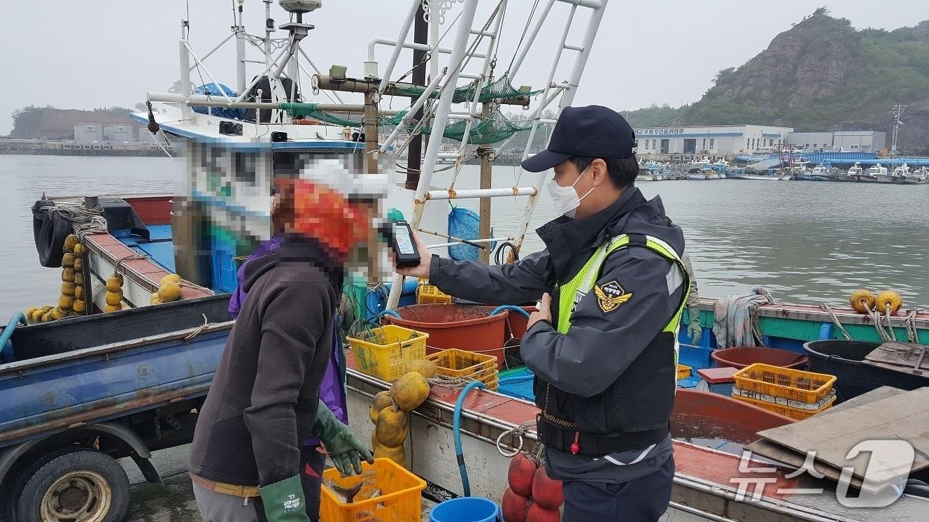 본문 이미지 -  낚시어선 음주운전 단속 중인 해경. (보령해경 제공, 재판매 및 DB금지) / 뉴스1