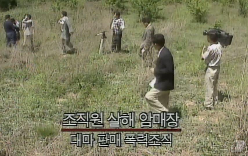 본문 이미지 - 1994년 안양 AP파 살인사건 발생 당시 mbc뉴스 보도 모습. (mbc 갈무리. 재판매 및 DB 금지) 