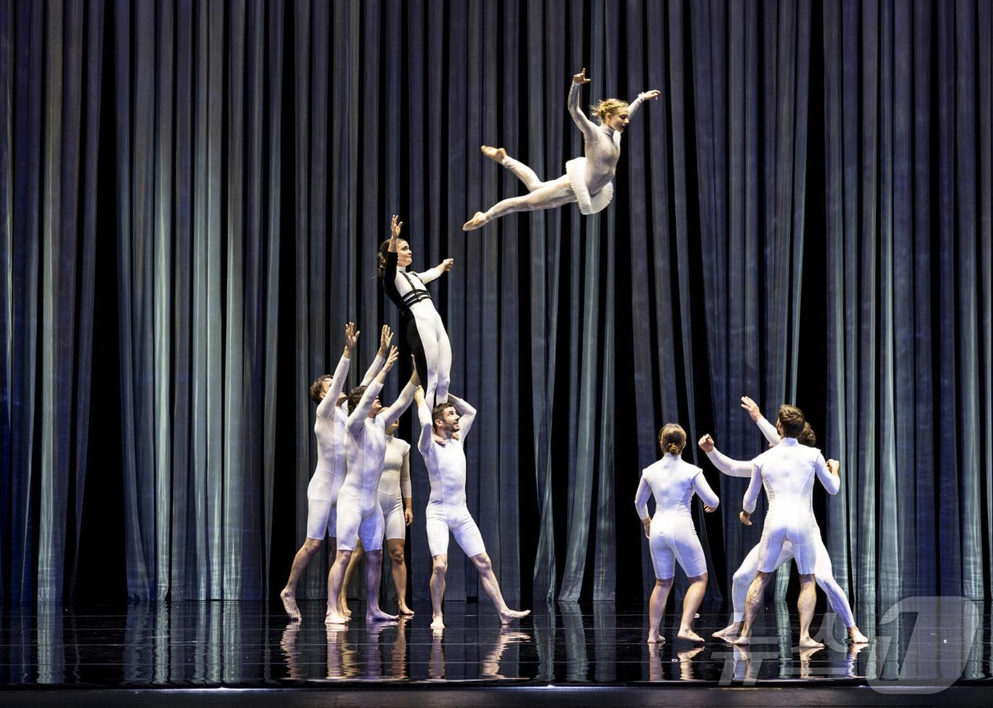 본문 이미지 - 호주 서커스 공연단체 '서카(Circa)' (ACC재단 제공. 재판매 및 DB금지) ⓒ 뉴스1