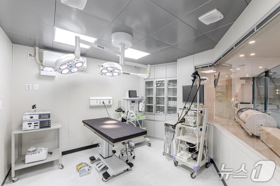 본문 이미지 - 반포베이스동물의료센터 수술실(동물병원 제공) ⓒ 뉴스1