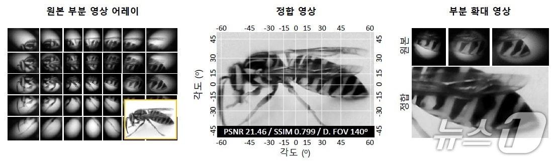 본문 이미지 - 마이크로렌즈 배열로 촬영된 부분 영상들을 결합해 하나의 장면으로 재구성한 결과(KAIST 제공) /뉴스1