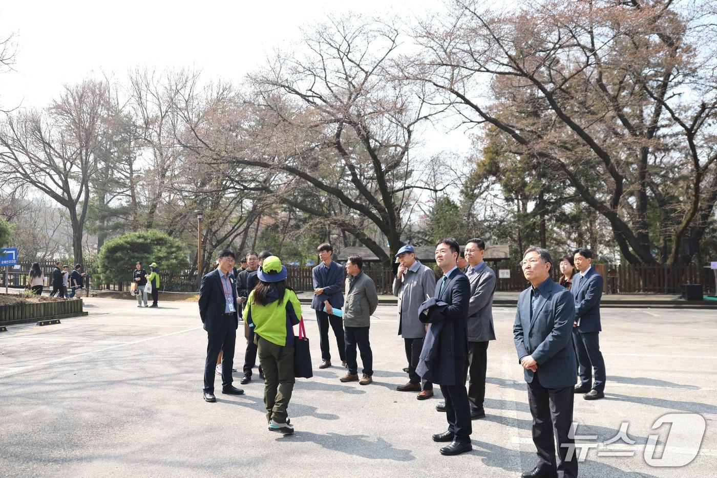 본문 이미지 - 홍릉숲의 평일 확대 개방을 기념해 개최한 '홍릉숲 봄꽃축제'에 2만 명이 넘는 탐방객이 방문했다.(국립산림과학원 제공.재판매 및 DB금지)/뉴스1
