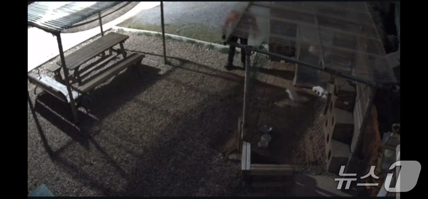 본문 이미지 - 지난 2일 새벽 경북 문경시 영순면의 한 카페 마당에서 신원 모를 남성이 강아지를 집어 던지는 모습이 CCTV에 찍혔다.(인스타그램 갈무리)2026.4.7/뉴스1