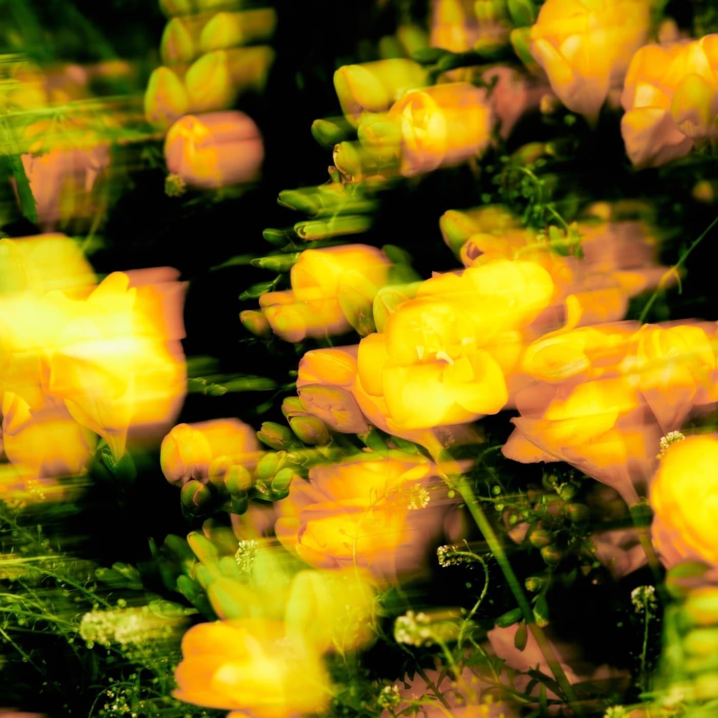 본문 이미지 - 동해