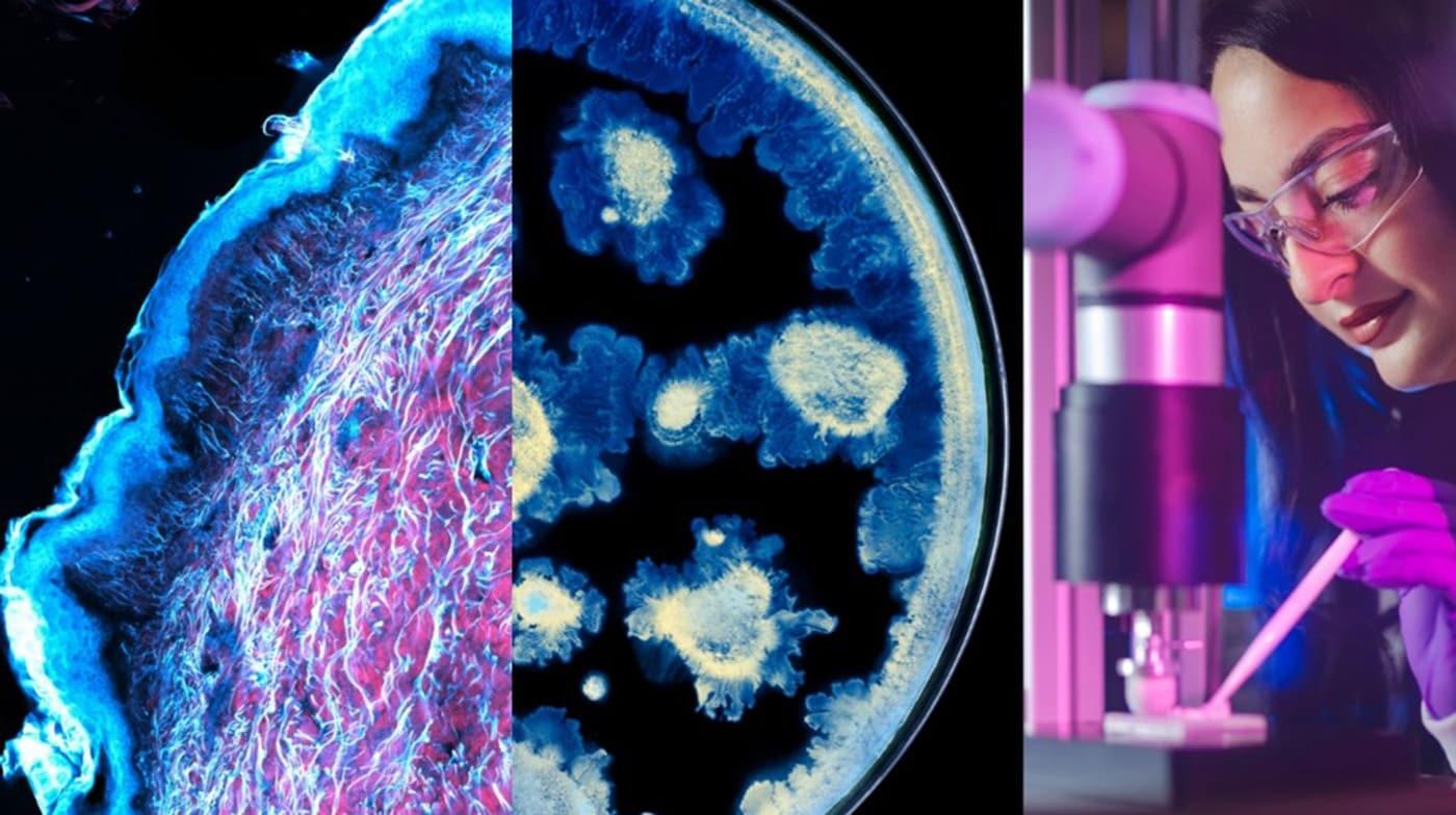 본문 이미지 - 로레알 그룹과 파스퇴르 연구소가 피부 건강 과학 발전을 위한 파트너십을 체결했다고 7일 밝혔다.(로레알 제공)