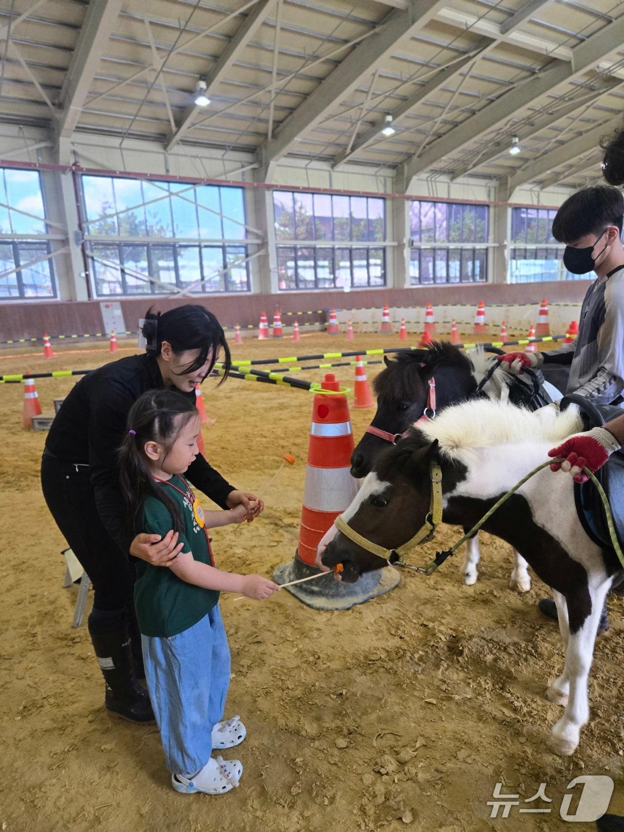 본문 이미지 - 전북 익산시가 제공하는 지역 내 공공승마장을 활용한 유아교육 장면.(교육부 제공)