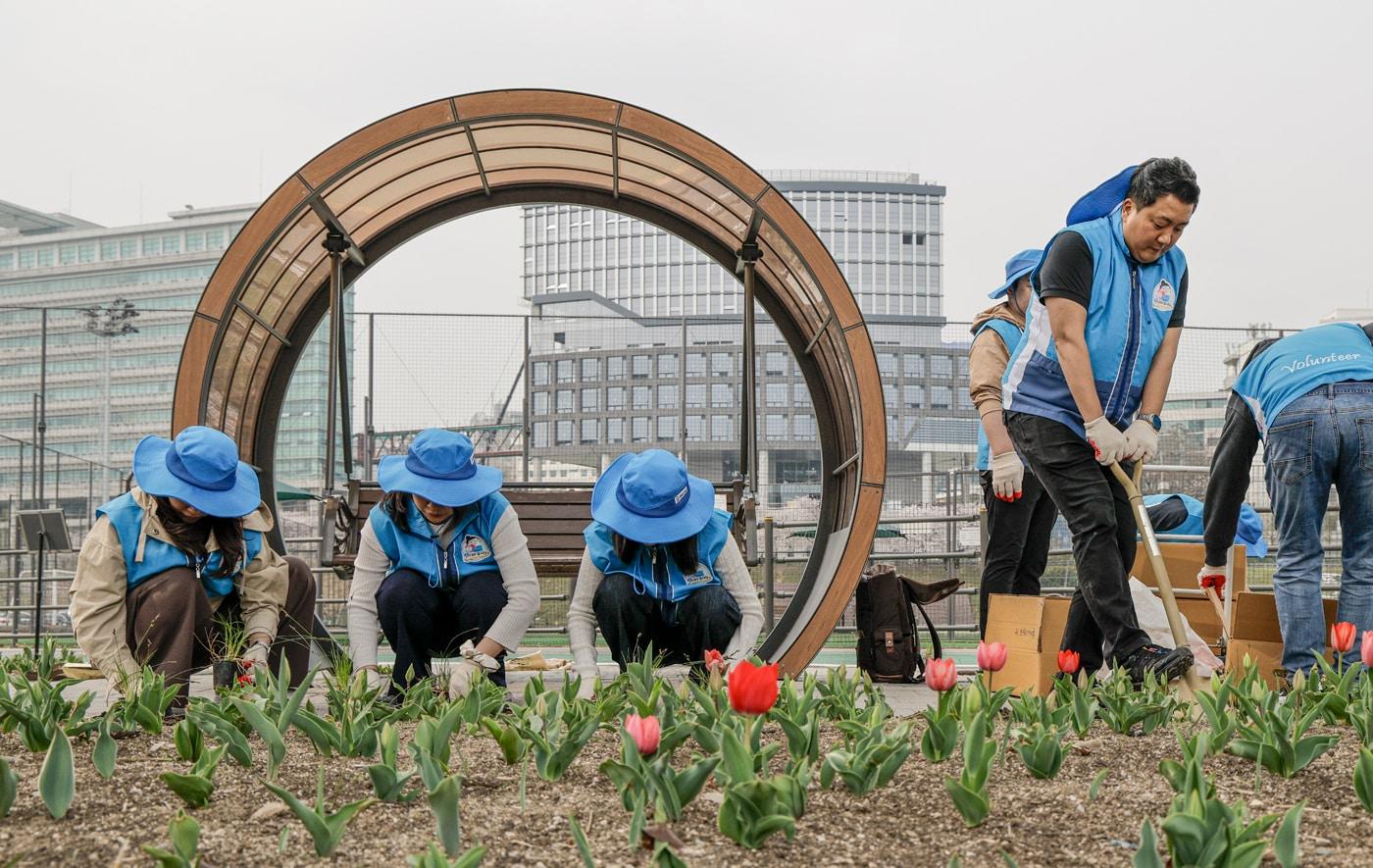본문 이미지 - 대우건설 네이처 정원 조성 모습.(대우건설 제공)뉴스1ⓒ news1