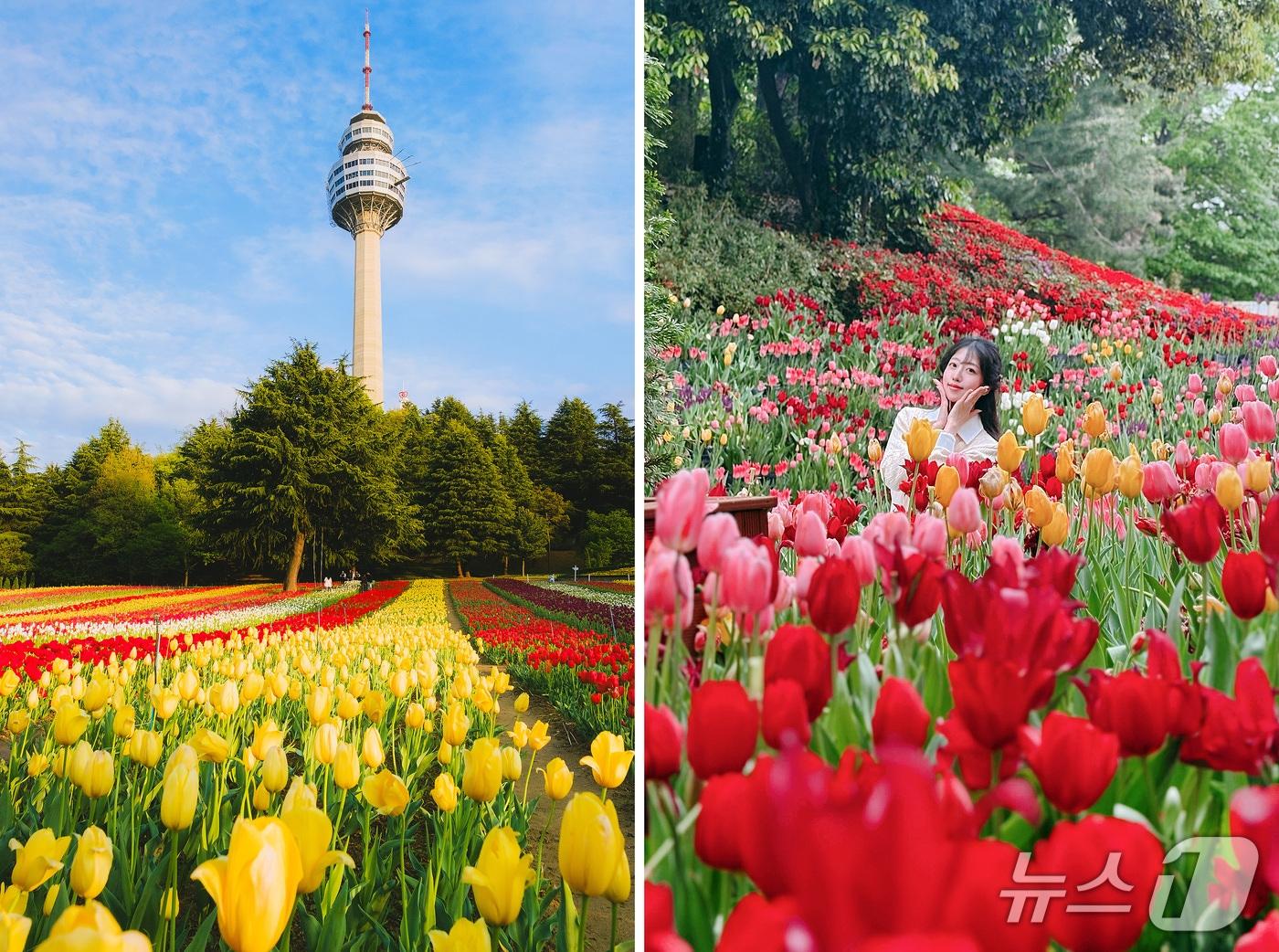 본문 이미지 - 대구 이월드가 봄을 맞아 '이월드 인 원더랜드(5월 31일까지)'와 '튤립 트래블(4월 11~ 30일)'을 선보인다. (이월드 제공. 재판매 및 DB금지)