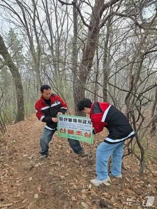 본문 이미지 - 제천시가 임산물 불법 채취 등을 차단하기 위해 안내판을 설치하고 있다.(제천시 제공. 재판매 및 DB금지)  
