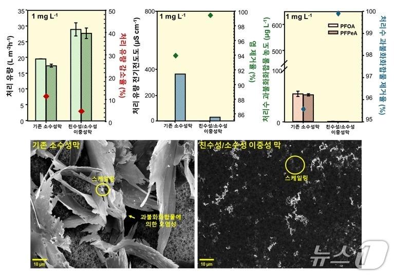 본문 이미지 - 야누스 PDA/PVDF 분리막의 제거 효유ㄹ 및 막오염 저항성 비교(정상현 부산대 교수 제공) /뉴스1