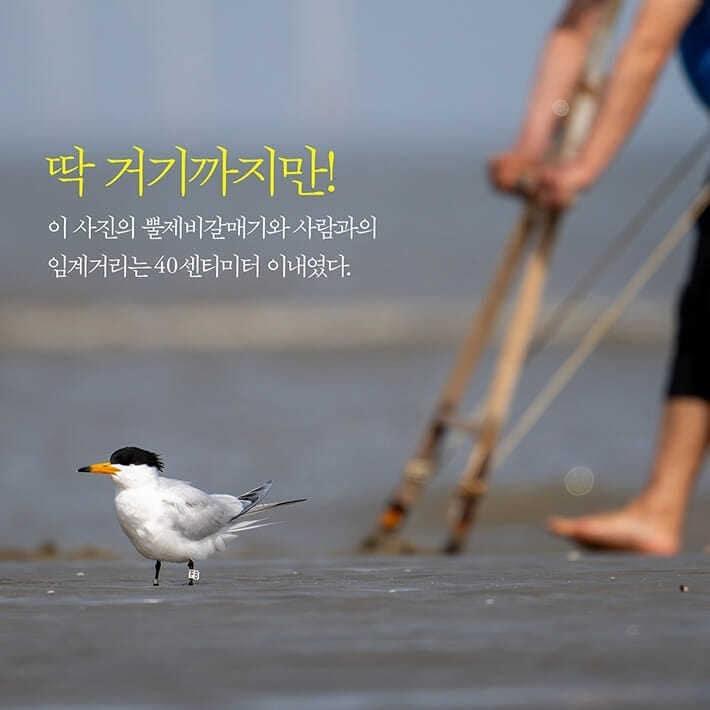 본문 이미지 - [신간] '탐조, 담다'