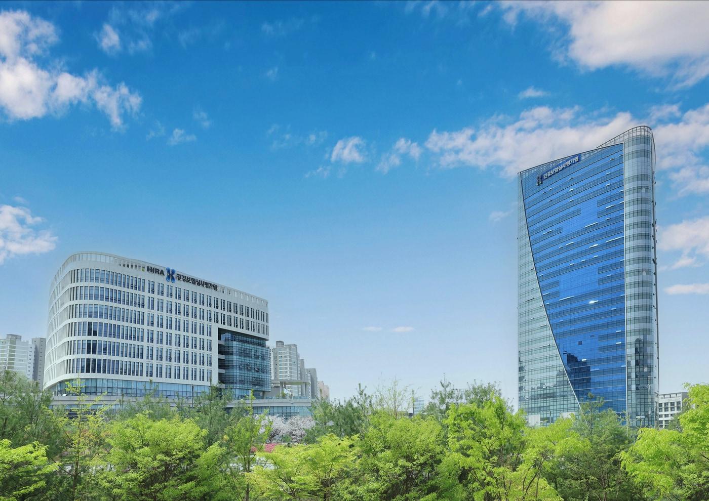 본문 이미지 - (건강보험심사평가원 제공)