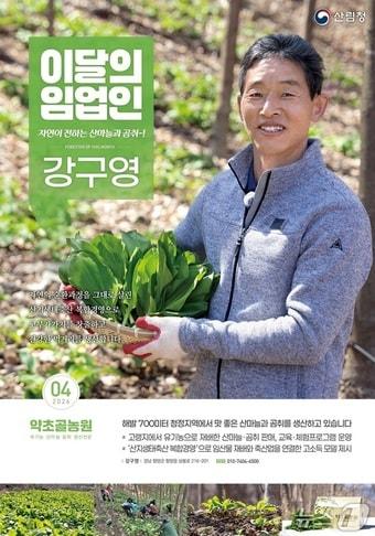 본문 이미지 - (산림청 제공.재판매 및 DB금지)/뉴스1 