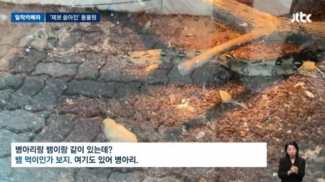 본문 이미지 - (JTBC 갈무리)