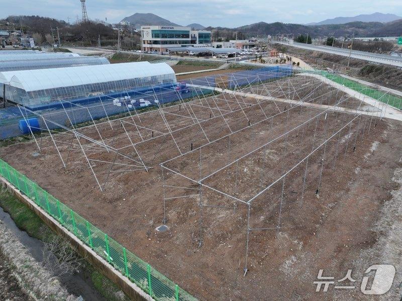 본문 이미지 - 전북 임실군이 복숭아·사과의 경쟁력 강화와 노동력 문제 해결을 위해 미래형 과수 실증 시험포 조성을 완료했다.(임실군제공, 재판매 및 DB금지)2026.4.7/뉴스1