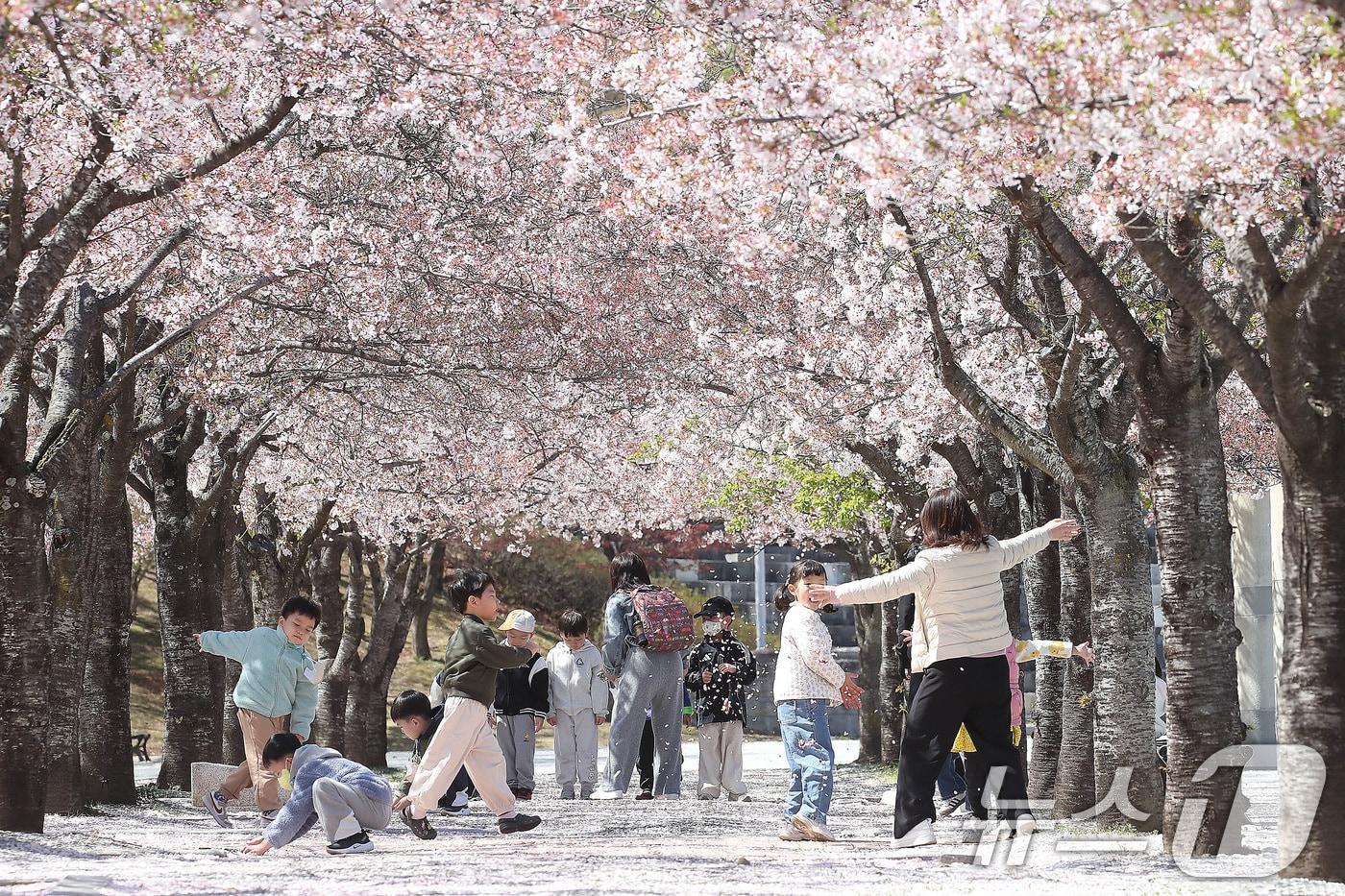 본문 이미지 - 7일 대구 수성구 대구스타디움으로 소풍 나온 어린이들이 벚꽃길에서 즐거운 시간을 보내고 있다. 2026.4.7 ⓒ 뉴스1 공정식 기자