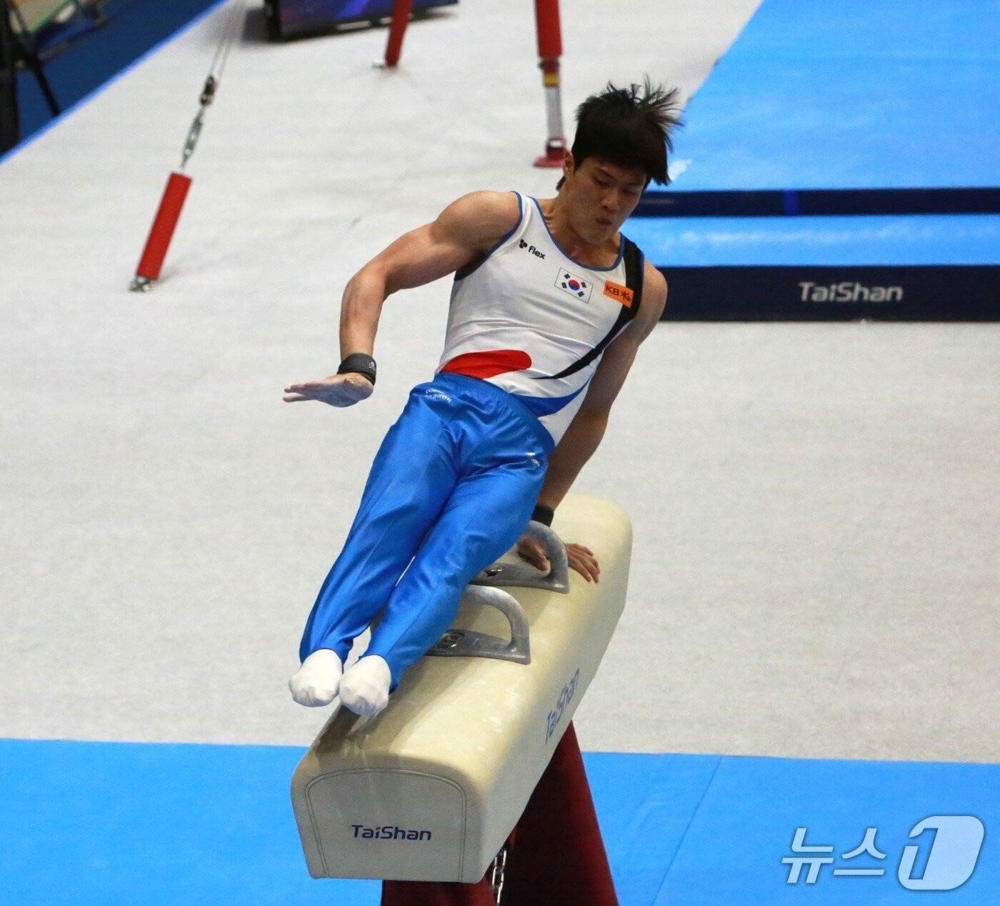 본문 이미지 - 2025 기계체조 아시아선수권대회 안마 결승.(자료사진)