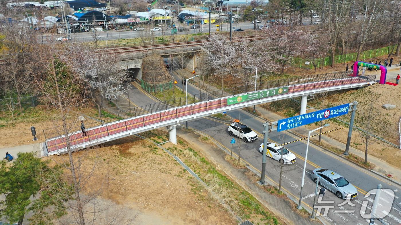 본문 이미지 - '동서 화합의 숲길' 테마의 보도교.(안산시 제공)
