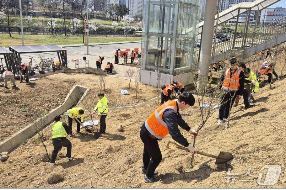 본문 이미지 - 7일 한국도로공사 수도권본부와 시흥지사 직원들이 시흥영업소 주변에서 식목일 나무심기 행사를 하고 있다. (도공 수도권본부 제공, 재판매 및 DB금지)