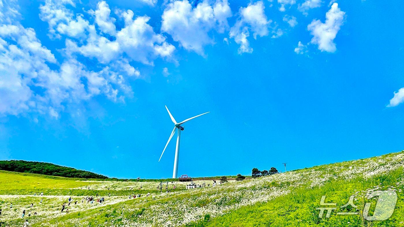 본문 이미지 - 강원 평창군 미탄면 청옥산 자료 사진. (평창군 제공. 재판매 및 DB금지) 2026.4.7/뉴스1