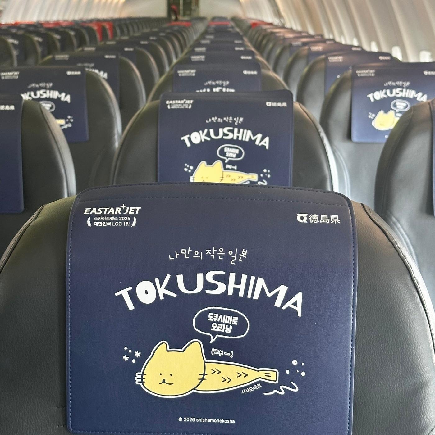 본문 이미지 - 이스타항공 항공기 기내 헤드레스트 커버에 시샤모네코가 적용된 모습. (이스타항공 제공)