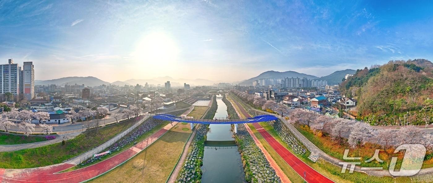 본문 이미지 - 벚꽃이 만개한 전북 정읍시 정읍천변 전경.(정읍시 제공. 재판매 및 DB금지)/뉴스1 