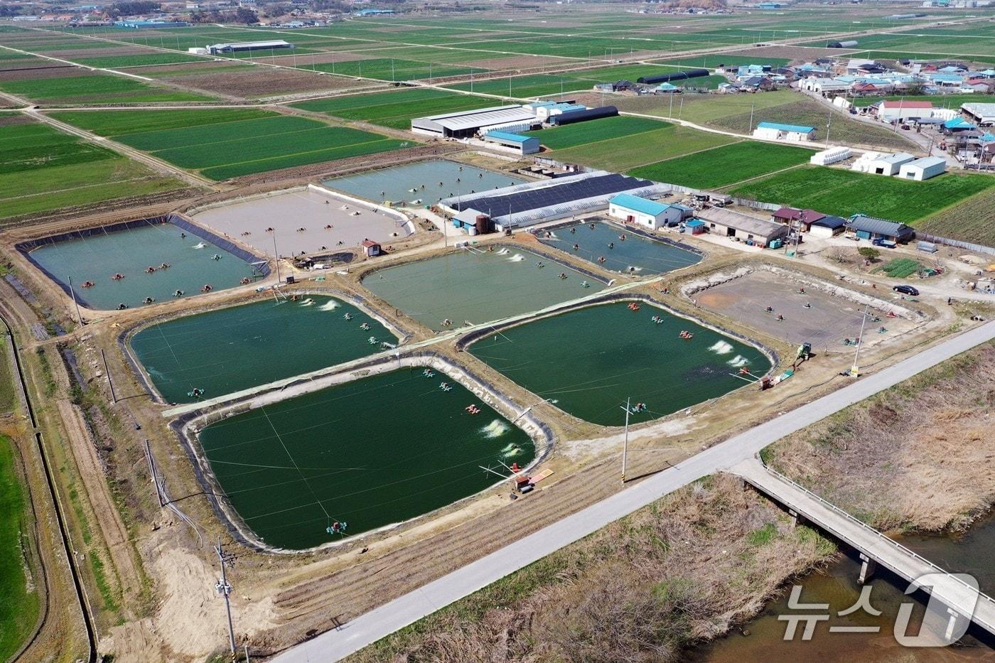 본문 이미지 - 정읍 내수면 양식장