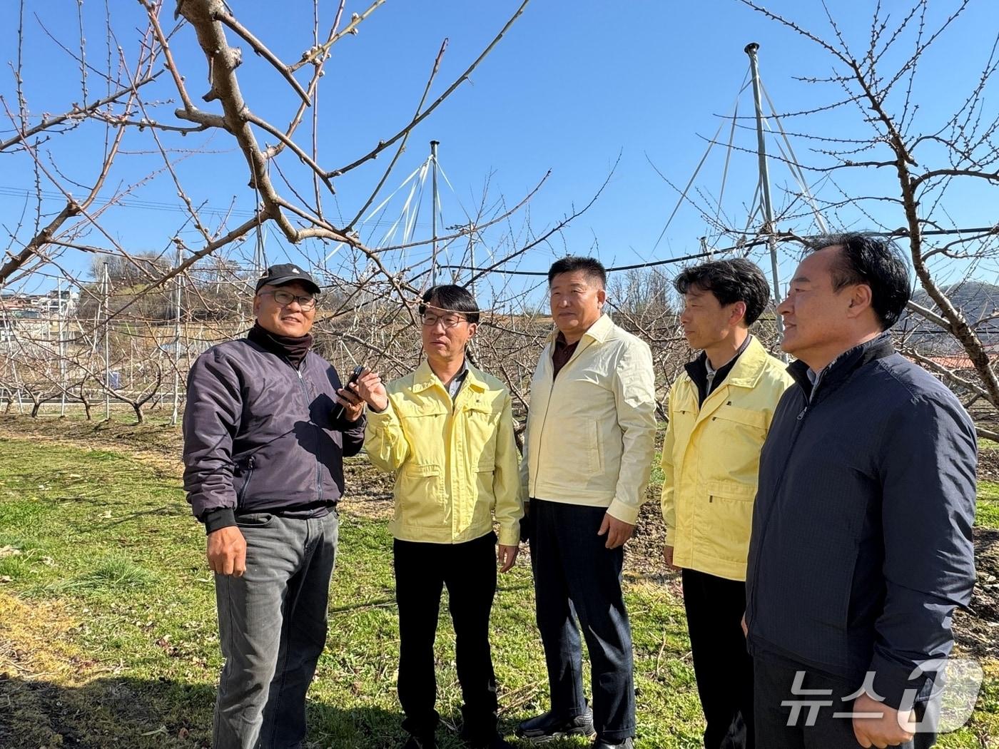 본문 이미지 - 농협 괴산군지부와 불정농협이 과수농가를 찾아 저온 피해 예방 활동을 하고 있다.(농협 괴산군지부 제공. 재판매 및 DB금지)