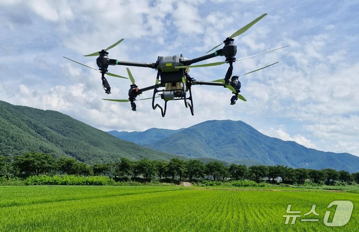 본문 이미지 - 강원 정선군이 올해 10월까지 농업인들에게 드론 방제비용을 지원한다. (정선군 제공. 재판매 및 Db금지) 2026.4.8/뉴스1