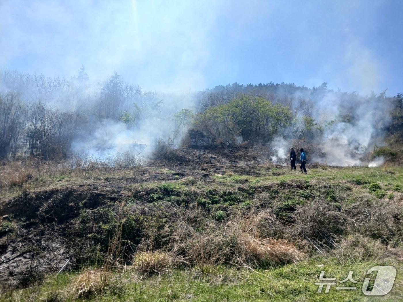 본문 이미지 - 8일 오후 1시 3분쯤 전남 진도군 조도면의 한 들에서 불이 나 소방당국이 화재를 진화하고 있다.(전남소방본부 제공. 재판매 및 DB 금지)