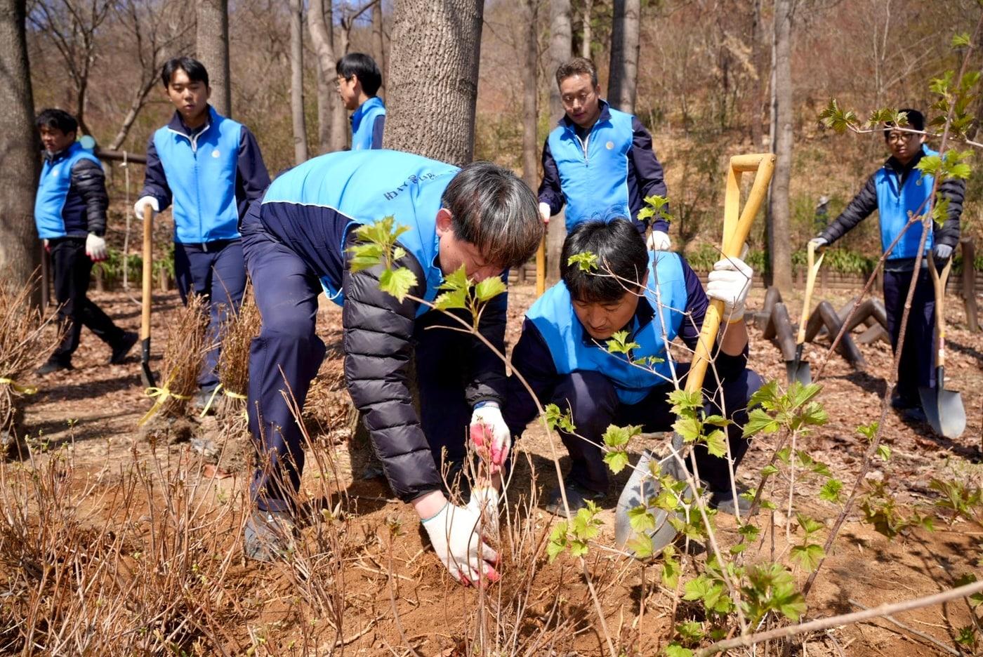 본문 이미지 - 삼천리 임직원들이 '청량산 도시숲 가꾸기' 행사에 참여해 나무를 심고 있다.(삼천리 제공)/뉴스1