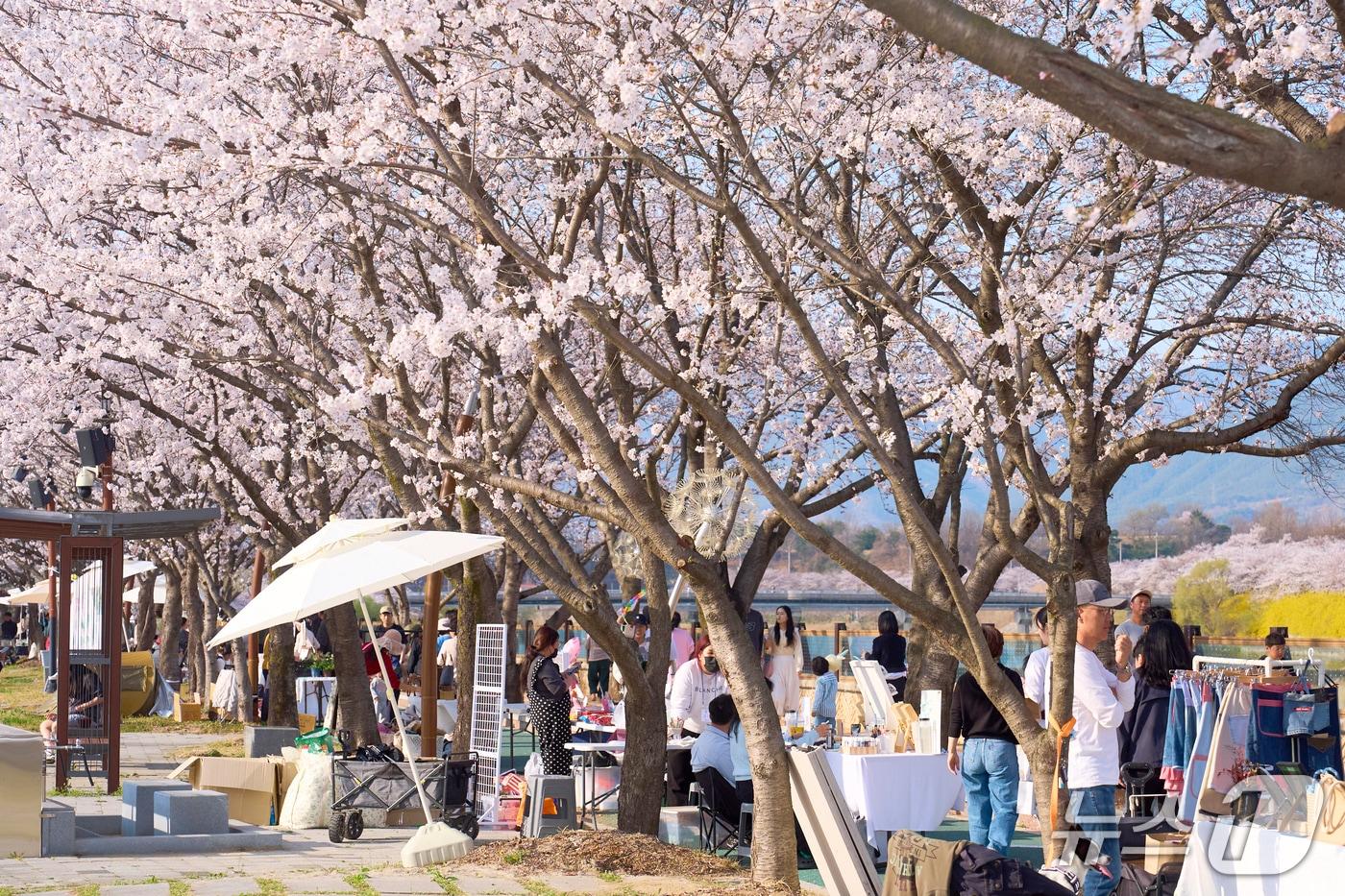 본문 이미지 - 3월 한 달 동안 100만 명이 넘는 관광객이 구례를 방문하면서 대한민국 대표 봄꽃 관광지로서의 위상을 다시 한번 입증했다(구례군 제공) 