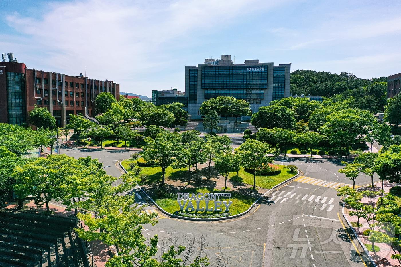 본문 이미지 - 국립부경대 용당캠퍼스 전경. (국립부경대 제공. 재판매 및 DB 금지) 