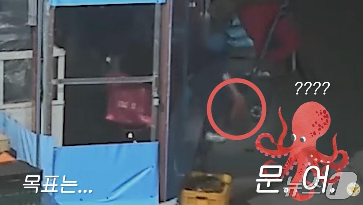 본문 이미지 - 한 시민이 지난달 16일 울산 중구 소재 전통시장의 해산물 가게에서 문어를 훔치고 있다. (경찰청 유튜브 갈무. 재판매 및 DB금지)/뉴스1
