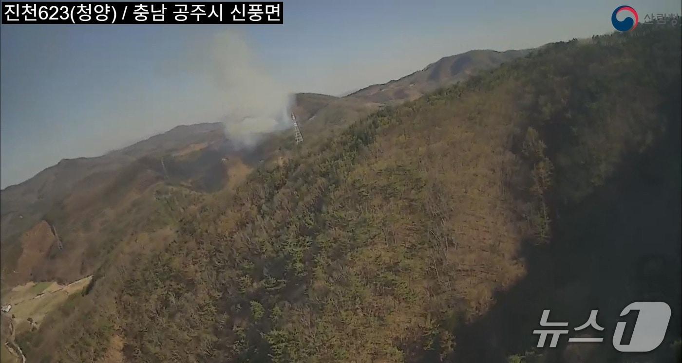 본문 이미지 -  공주 신풍면 쌍대리 산불 현장.