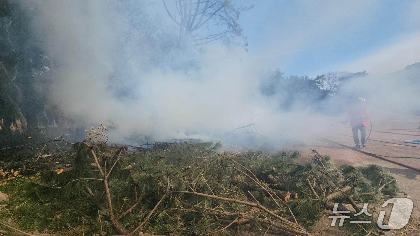 본문 이미지 - 화재 현장 모습(제주소방안전본부 제공. 재판매 및 DB금지)/뉴스1
