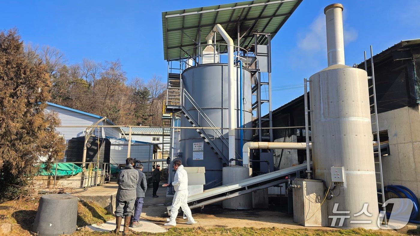 본문 이미지 - 용인시의 한 축사 모습.(용인시 제공)