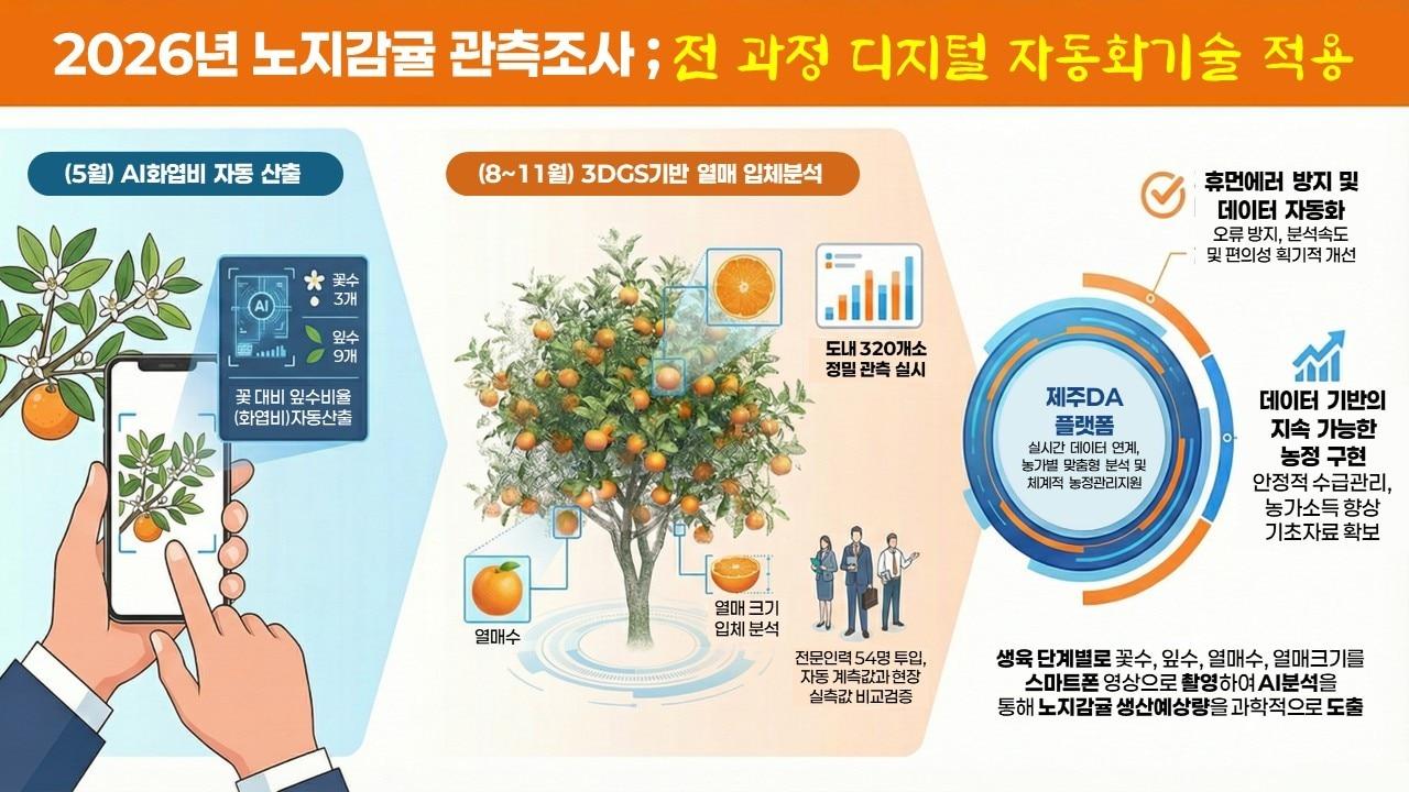 본문 이미지 -  제주도 농업기술원이 2026년산 노지감귤의 안정적인 수급 관리와 정밀한 생산량 예측을 위해 관측조사를 실시한다./뉴스1