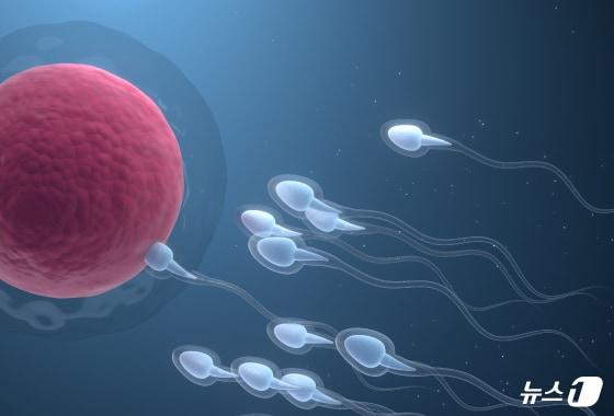 본문 이미지 - ⓒ 뉴스1 양혜림 디자이너