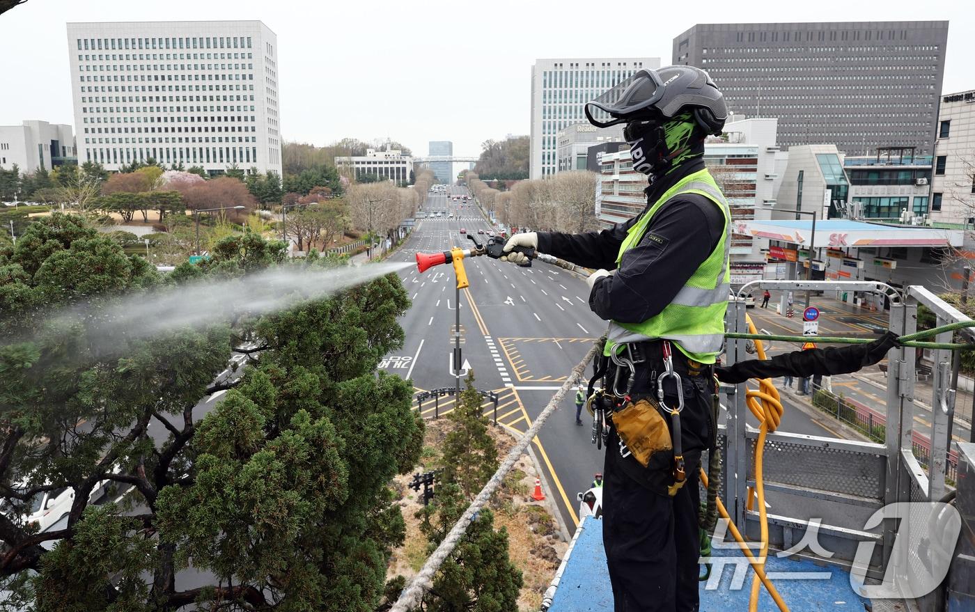 본문 이미지 - 서초구 관계자들이서울 서초역사거리 중앙 녹지대에서 물세척을 하고 있다. 2026.4.9 ⓒ 뉴스1 최지환 기자