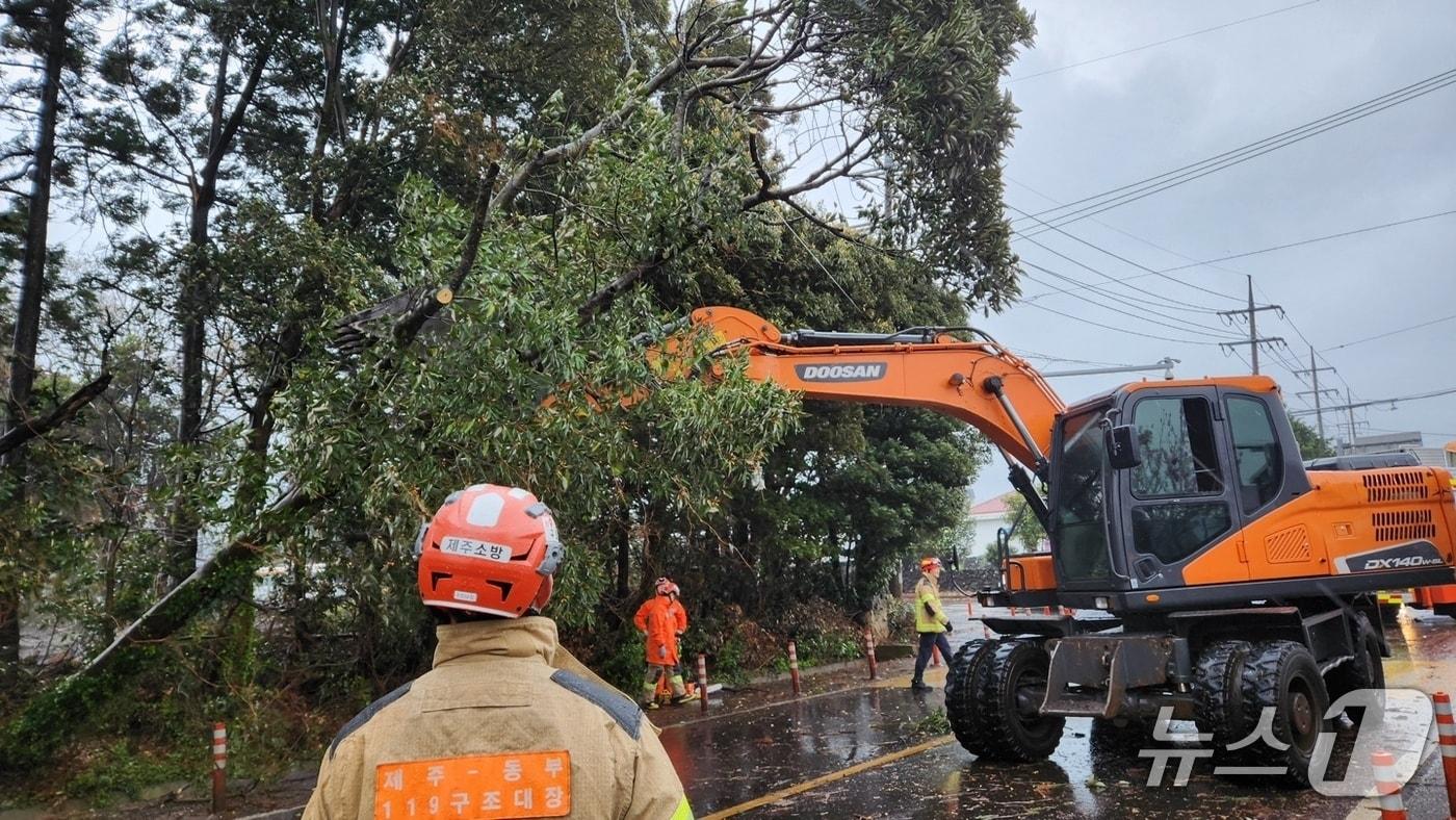 본문 이미지 - 강풍 사고 수습 현장(제주소방본부 제공. 재판매 및 DB금지)/뉴스1