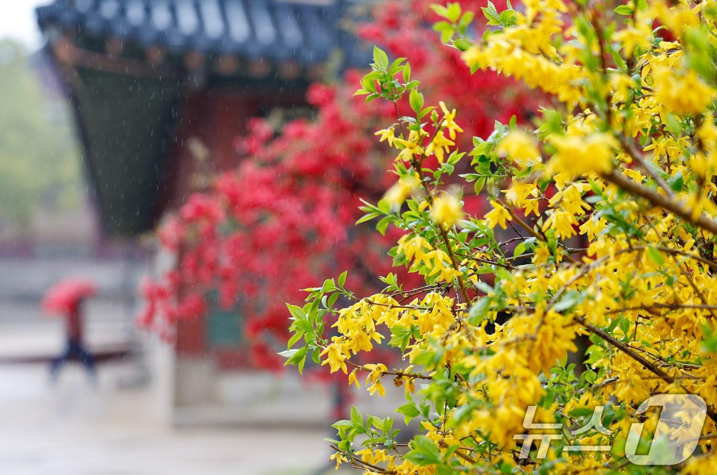 본문 이미지 - 전국에 봄비가 내리는 9일 오후 서울 중구 덕수궁에 우산을 쓴 시민이 걸어가고 있다. 2026.4.9 ⓒ 뉴스1 안은나 기자
