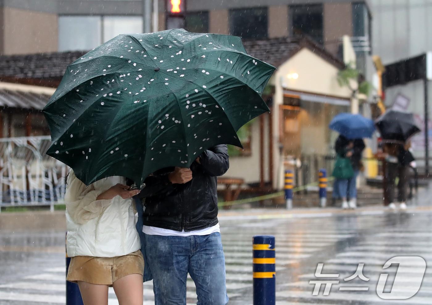 본문 이미지 - 전국적으로 비가 내리는 9일 오후 부산 해운대해수욕장 인근에서 외국인 관광객이 든 우산에 강풍에 떨어진 벚꽃잎이 붙어 있다. 2026.4.9 ⓒ 뉴스1 윤일지 기자