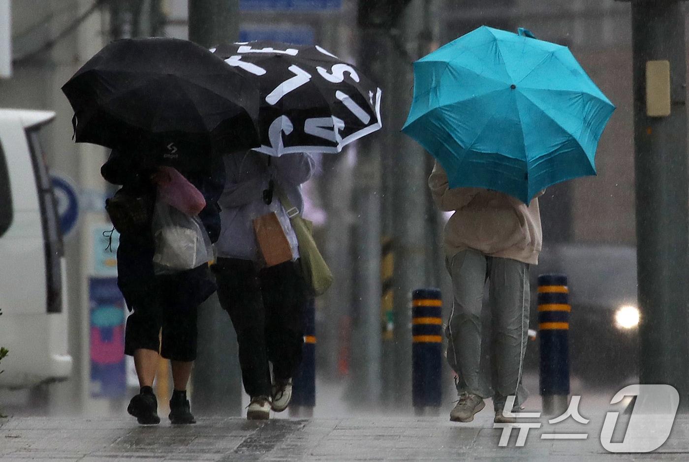 본문 이미지 - 비가 내리는 길을 시민들이 우산을 들고 걷고 있다ⓒ 뉴스1