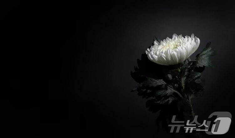 본문 이미지 -  